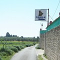 Canile rifugio sito in Altamura