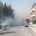 Nuovo incendio in pineta