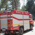 Nuovo incendio in pineta