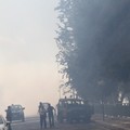 Nuovo incendio in pineta