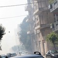 Nuovo incendio in pineta