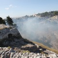 Nuovo incendio in pineta