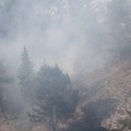 Nuovo incendio in pineta