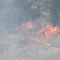 Nuovo incendio in pineta