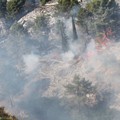 Nuovo incendio in pineta