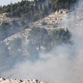 Nuovo incendio in pineta