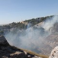 Nuovo incendio in pineta