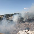 Nuovo incendio in pineta