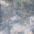 Nuovo incendio in pineta