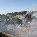 Nuovo incendio in pineta