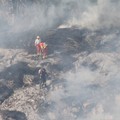 Nuovo incendio in pineta