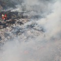 Nuovo incendio in pineta