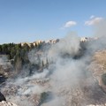 Nuovo incendio in pineta