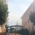 Nuovo incendio in pineta