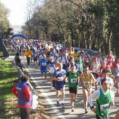 XI edizione de "Il giro del falco"