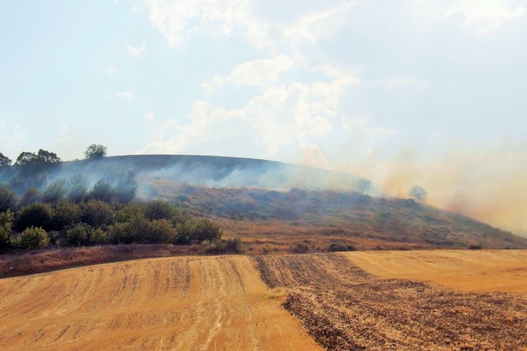 Incendio sulla collina di Botromagno. <span>Foto Carlo Centonze</span>