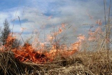 4392721 prato fuoco invia grandi nuvole di fumo dopo la masterizzazione di un erba desolate calamit