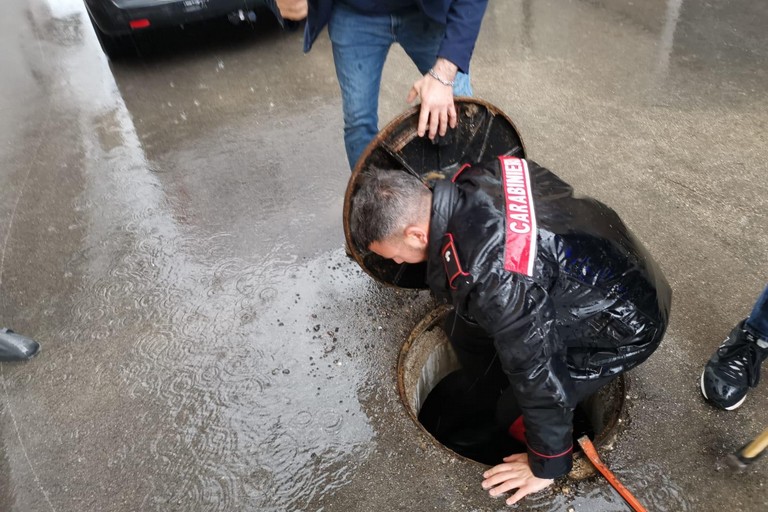 carabinieri salva gattino