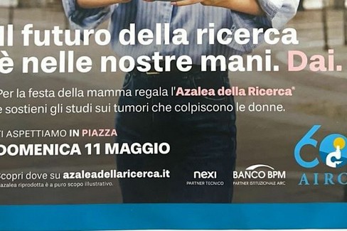 L'Azalea della Ricerca