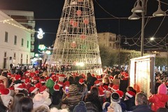 IV edizione dell’accensione dell'albero di Natale in piazza Scacchi