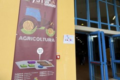 Agricoltura, “Bene Fiera San Giorgio: valorizzare sistemi regionali in Meridione"