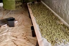 Droga: arresti della Guardia di Finanza a Gravina