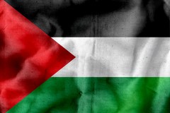 Condanna delle violenze in Palestina, Mozione Verna-Valente