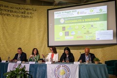 Costruire per vivere nel rispetto della salute e dell'ambiente, un sogno possibile