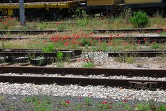 Recuperare la vecchia ferrovia per i treni turistici