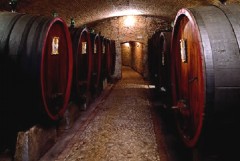 Il Pier delle Vigne tra i vini d’eccellenza