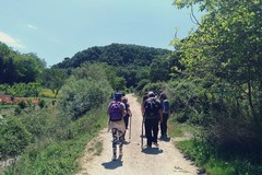 Da Bari a Matera passando per Gravina