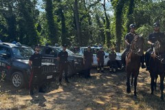 Carabinieri a Cavallo nel bosco Difesa Grande