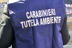 Rifiuti edili smaltiti illegalmente, due ditte di Gravina coinvolte in inchiesta a Matera