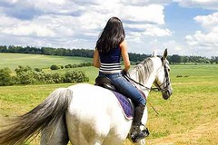 "Green Ride”, anche Gravina nel percorso interregionale a cavallo