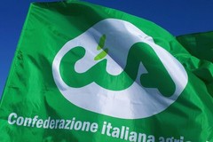 Da cinghiali e parrocchetti milioni di euro di danni