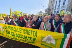 Coldiretti puglia, 5000 agricoltori e trattori in piazza a Bari