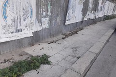 Deiezioni canine in via Picasso: "si salvi chi può"