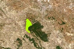 Nucleare: area scelta è a ridosso del bosco di Gravina
