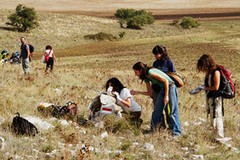 Turismo sostenibile: il Parco Nazionale dell’Alta Murgia avvia la CETS 3