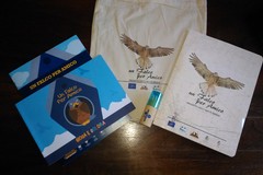 Progetto LIFE "Un falco per amico": il Grillaio torna a popolare le nostre zone