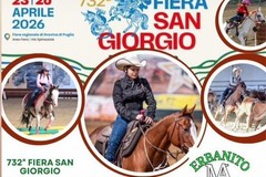 la Fiera e i cavalli