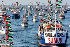 Flottilla, anche Gravina si mobilità