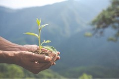 Ambiente: il messaggio positivo della Bibbia