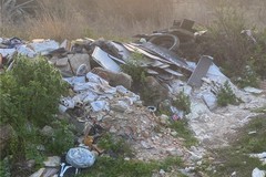 Abbandono dei rifiuti sulle strade metropolitane, Primo ritiro di patente