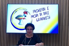 Proverbi e Modi di Dire Gravinesi: Gli animali