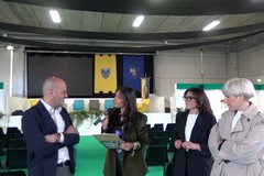 Ai microfoni di Gravinalife il punto di vista di Maria Cornacchia, Gigi Ranieri e Maria Giovanna Dell’Aglio