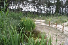 Vivaio comunale: affidata all'Università di Bari la manutenzione straordinaria del giardino botanico