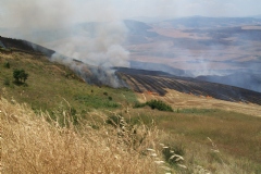 Domenica di fuoco: bruciano ottanta ettari