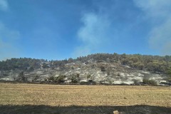 Incendio Alta Murgia, fase di bonifica