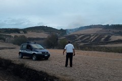 Incendio nelle vicinanze del bosco